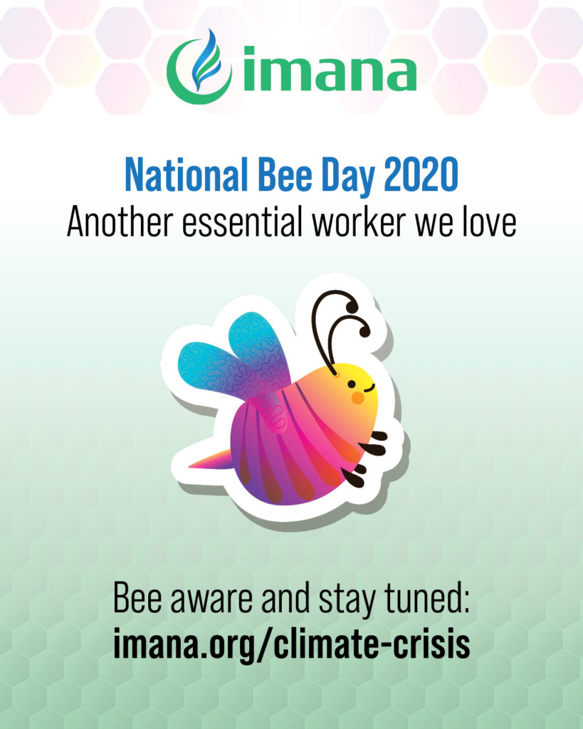 IMANA-FB-IG-Graphic-National Bee Day