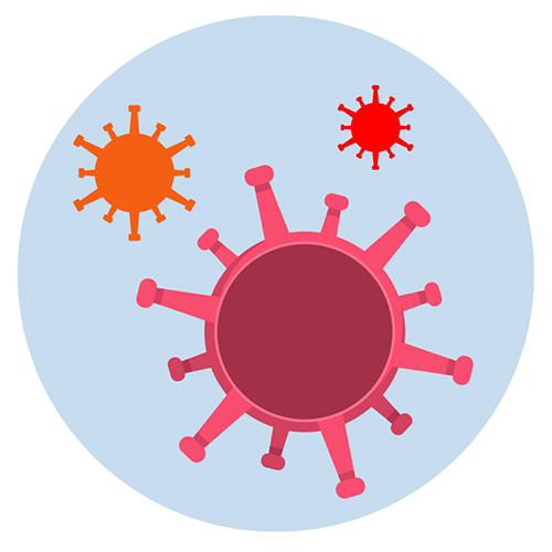 IMANA-Graphic-Vaccine tips-02